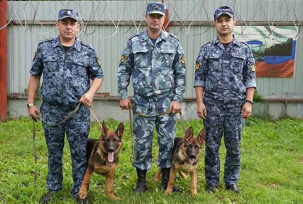 Щенки немецкой овчарки из племенного питомника УФСИН России по Тюменской области переданы на службу в Оренбургскую область