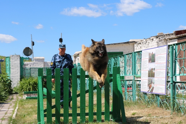 21 июня день кинологической службы фсин